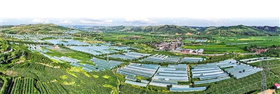     沿河谷川道區(qū)打造冷涼蔬菜產(chǎn)業(yè)帶。