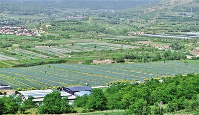     農(nóng)田與山川構(gòu)成一幅鄉(xiāng)村振興畫卷。
