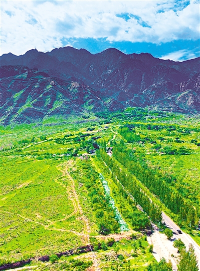     綠色——賀蘭山，寧夏的父親山。隨著近年來賀蘭山生態(tài)保衛(wèi)戰(zhàn)的打響，賀蘭山生態(tài)逐步恢復(fù)，是寧夏踐行“綠水青山就是金山銀山”理念的生動(dòng)寫照。     本報(bào)記者 馬楠 攝